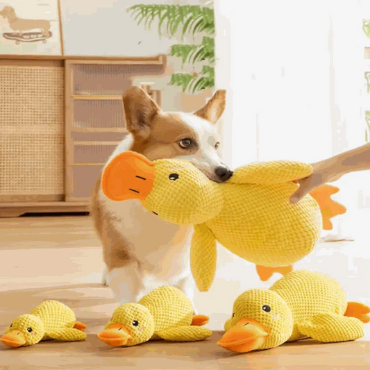 Kuschelente Plüsch Hundeschmuse Freund beruhigt Hunde mit kuscheligem Plüschspielzeug gegen Stress und Alleinbleiben